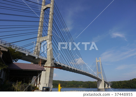 With Twin Bridge With Twin Bridge 37448955