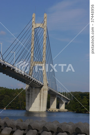 With Twin Bridge With Twin Bridge 37448956