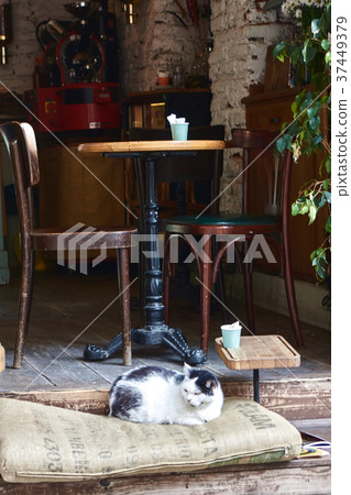 Turkish street cafe in Istanbul. Turkish street cafe in Istanbul. 37449379