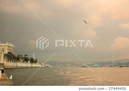 view of the quay ortakoy view of the quay ortakoy 37449400