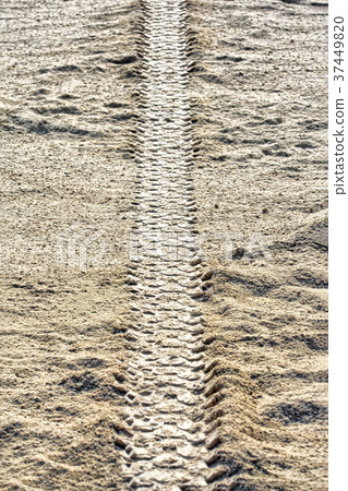 Tire tracks on dirt Tire tracks on dirt 37449820