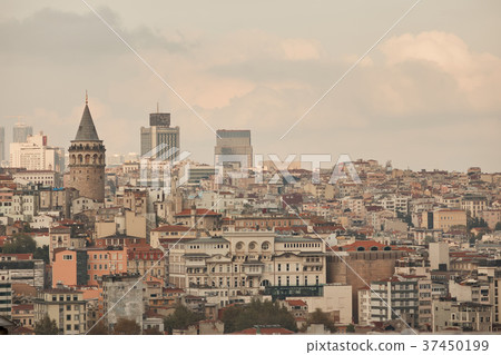 view of the city of Istanbul from a height 37450199