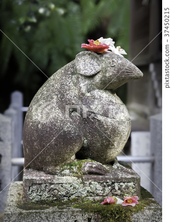 Daitoyo Shrine的一隻老鼠用玫瑰花裝飾 Daitoyo Shrine的一隻老鼠用玫瑰花裝飾 37450215