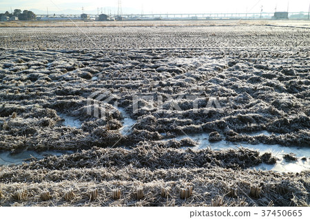 Fallow land in winter 37450665