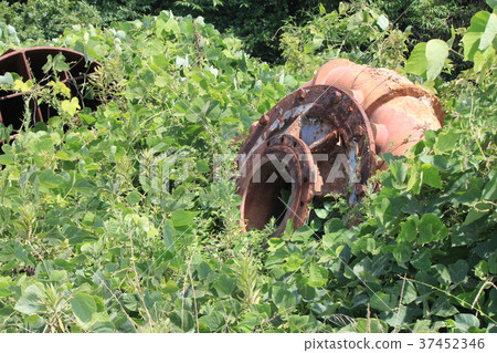 Abandoned tire 37452346