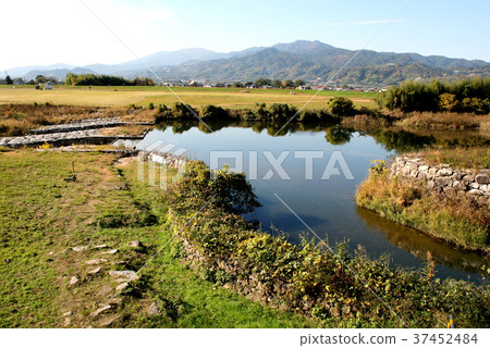 Ishii Park 37452484