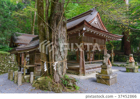 Kifune Shrine Okumoto Honden 37452866