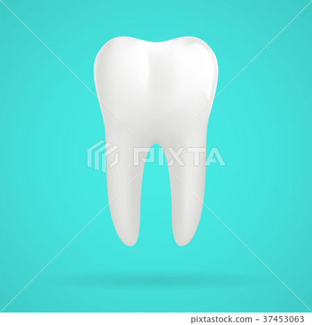 White molar tooth poster template