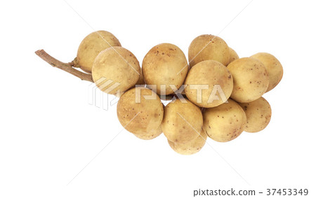Thai fruit,Wollongong isolated on white Thai fruit,Wollongong isolated on white 37453349