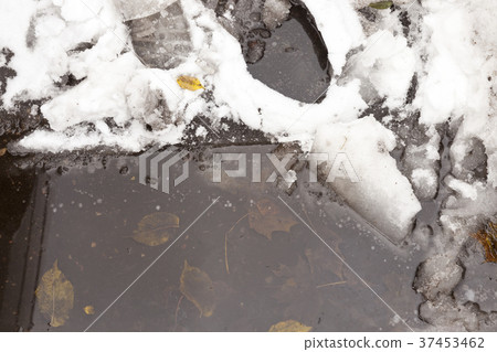 frozen puddle and leaves frozen puddle and leaves 37453462