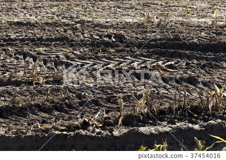 trail tractor 37454016