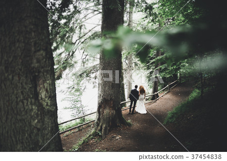 Elegant stylish happy brunette bride and gorgeous 37454838