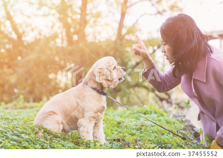 Asian woman training her dog outdoor 37455552