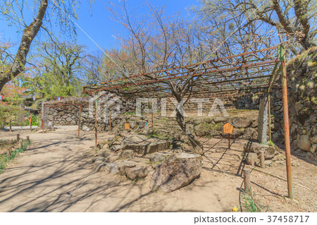 Spring nostalgic landscape 37458717