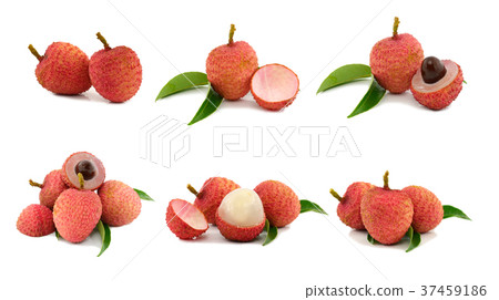 collection of 6 lychee images 37459186