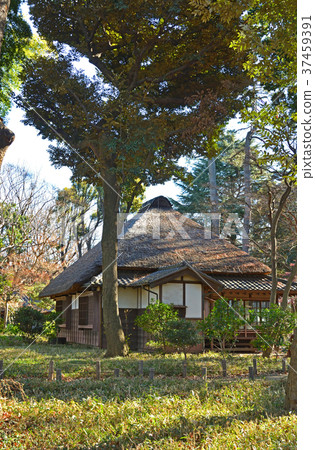 世田谷步行道：Kouka Hakata Spring Garden Akimizu Shoin 37459391