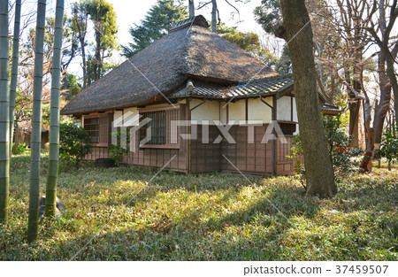 世田谷步行道:Kouka Hakata Spring Garden Akimizu Shoin 世田谷步行道:Kouka Hakata Spring Garden Akimizu Shoin 37459507