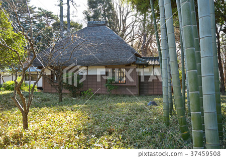 世田谷步行道：Kouka Hakata Spring Garden Akimizu Shoin 37459508