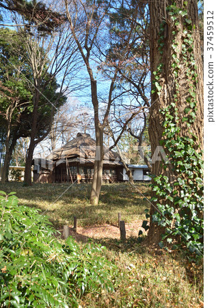 世田谷步行道:Kouka Hakata Spring Garden Akimizu Shoin 世田谷步行道:Kouka Hakata Spring Garden Akimizu Shoin 37459512
