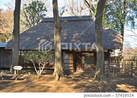 世田谷步行道:Kouka Hakata Spring Garden Hakodate 世田谷步行道:Kouka Hakata Spring Garden Hakodate 37459514
