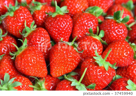 Strawberry Strawberry 37459940