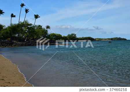 Tropical morning 37460258