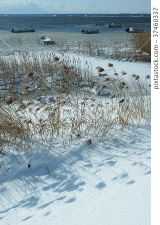 Lake Ogawara in winter 37460337
