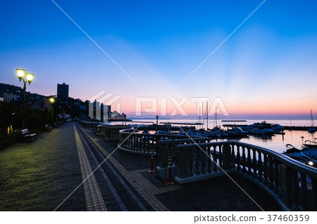 熱海的黎明（八月） 37460359