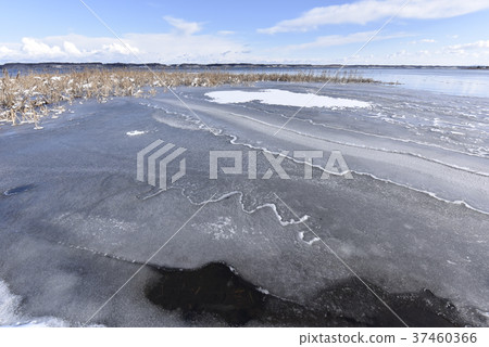 大川湖在冬天 37460366