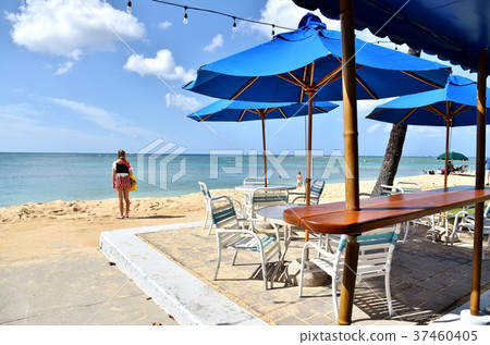 Holidays in Hawaii 37460405
