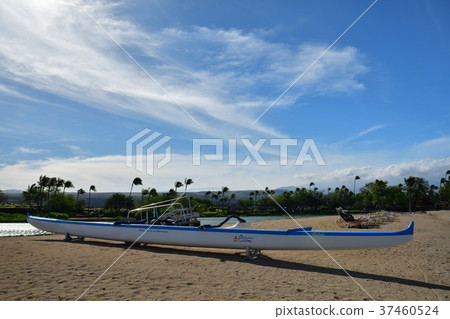 海洋活動 海洋活動 37460524