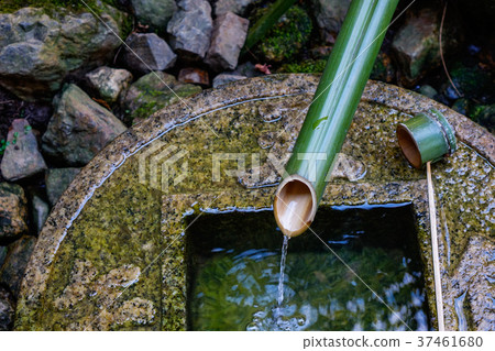 A tsukubai (washbasin) at Shinto Shrine 37461680