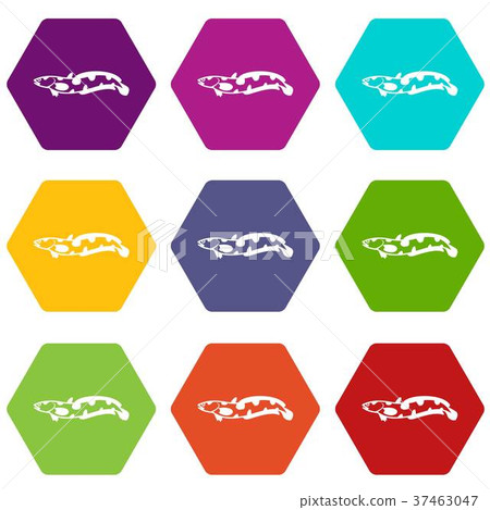 Anarhichas fish icon set color hexahedron 37463047
