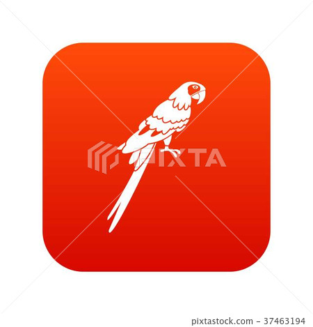Brazilian parrot icon digital red Brazilian parrot icon digital red 37463194