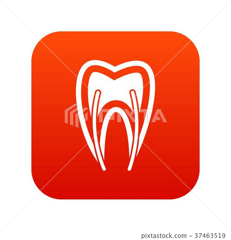 Tooth cross section icon digital red Tooth cross section icon digital red 37463519