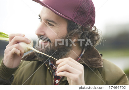 Agriculture vegetables harvest foreigner men 37464702