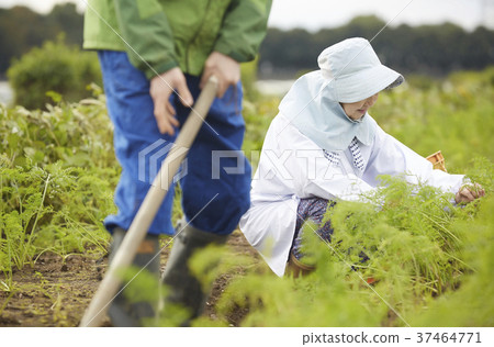 Farmer woman and foreign man with ax 37464771