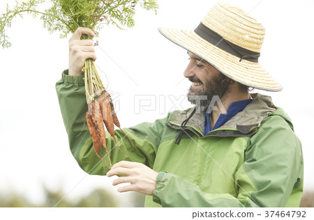 農業蔬菜收穫外國人男子 37464792