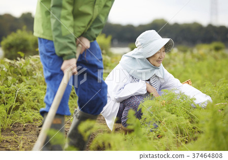 農民婦女和外國人用軸 農民婦女和外國人用軸 37464808