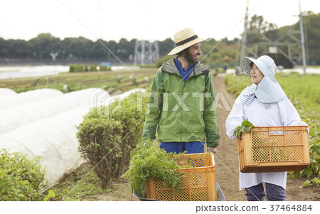 Farmer woman and foreign man Farmer woman and foreign man 37464884