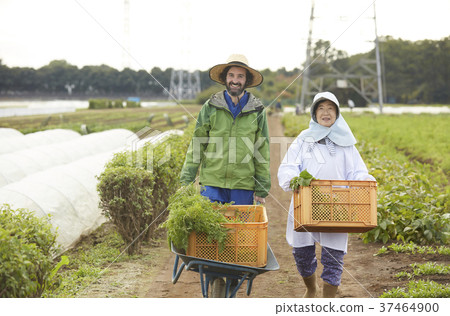Farmer woman and foreign man 37464900