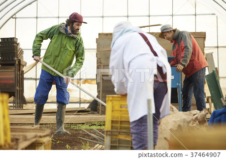 Farmer Shipping work Foreigner men 37464907