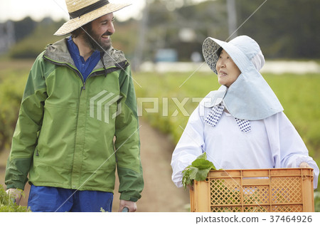 Farmer woman and foreign man Farmer woman and foreign man 37464926