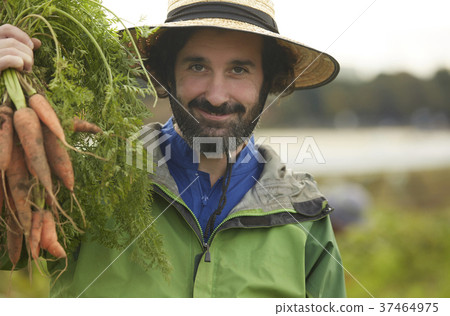農業蔬菜收穫外國人男子 37464975