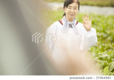 追踪農民婦女和外國男人 37464985