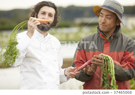 Farmer man and foreign chef 37465008
