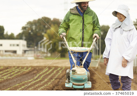 Farmer and foreign woman cultivator 37465019