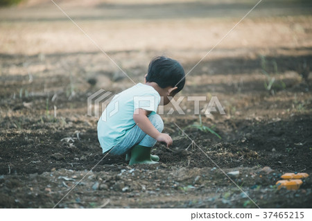 兒童 孩子 小孩 37465215
