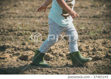 little child, toddler, enjoy oneself 37465245