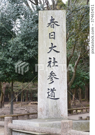 “Kasuga Taiseisha Shrine”的石碑(奈良縣奈良市春日町) “Kasuga Taiseisha Shrine”的石碑(奈良縣奈良市春日町) 37465451
